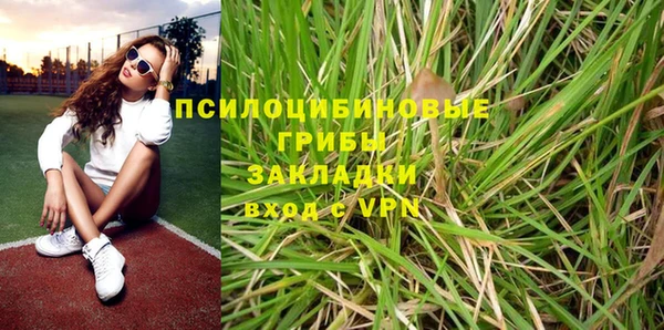 дмт Аркадак
