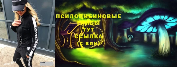 дмт Аркадак